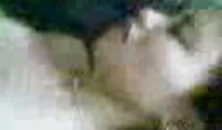 الزوج مقلي حفل زفاف مع أظافر طويلة افلام جنس اجنبي مترجم أنيقة.