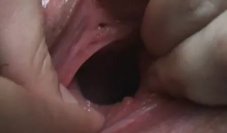 Hd نوفا مع جنس اجنبي مجاني الثدي الصغيرة أعطى فارس اللسان.